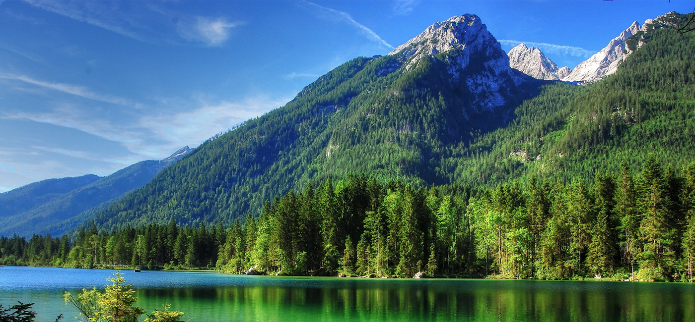 魔刻科技关注环境保护